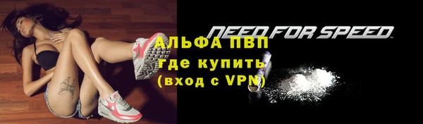 стаф Володарск