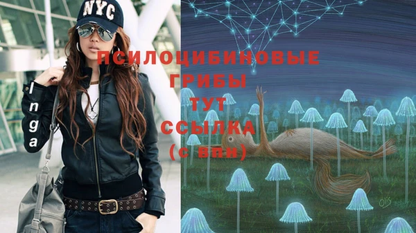 стаф Володарск