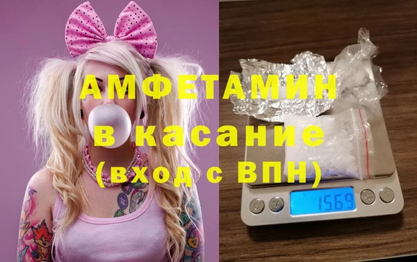 прущие грибы Волосово