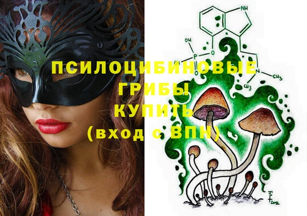 не бодяженный Ельня