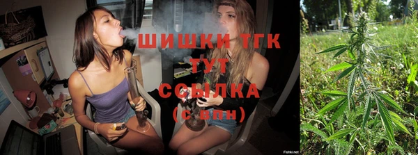 стаф Володарск