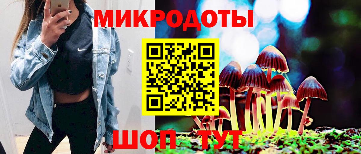 Псилоцибиновые грибы Psilocybine cubensis  купить наркоту  Псилоцибиновые грибы мухоморы  Гурьевск  Вход с VPN 